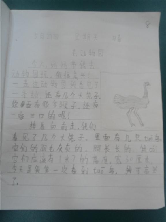 上传的图片