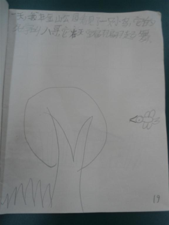 上传的图片