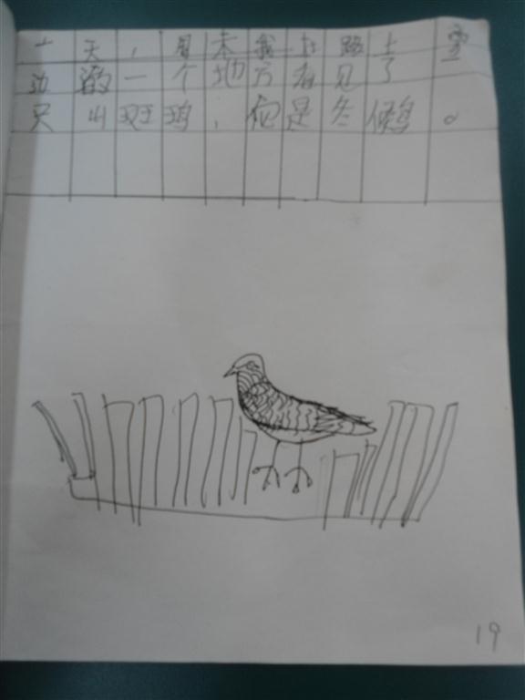 上传的图片