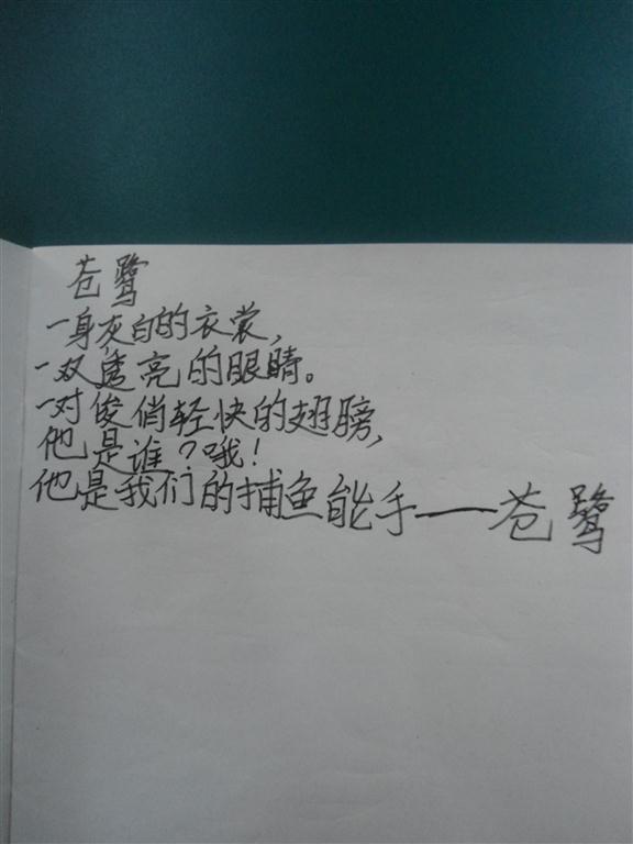 上传的图片