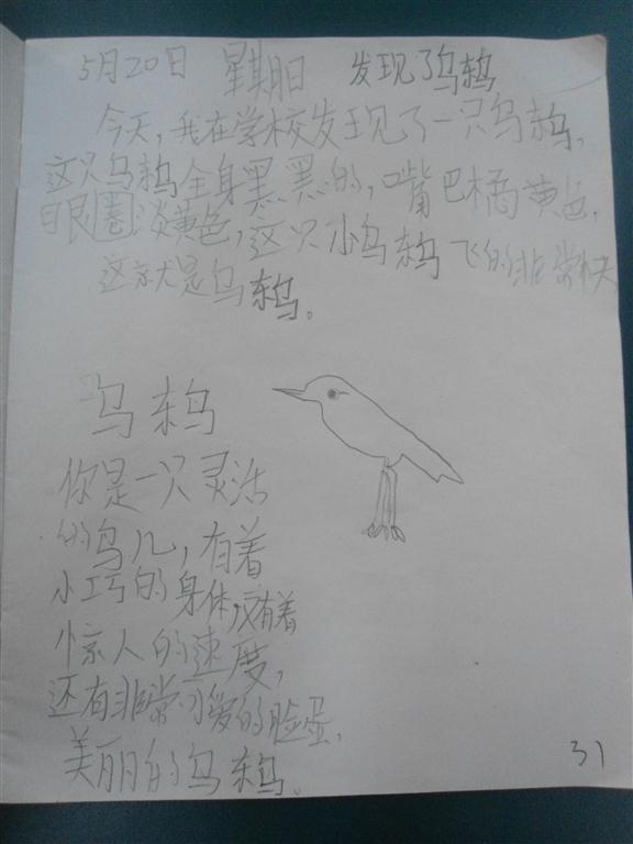上传的图片