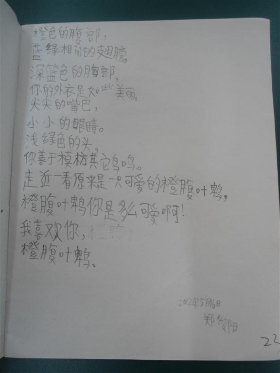 上传的图片