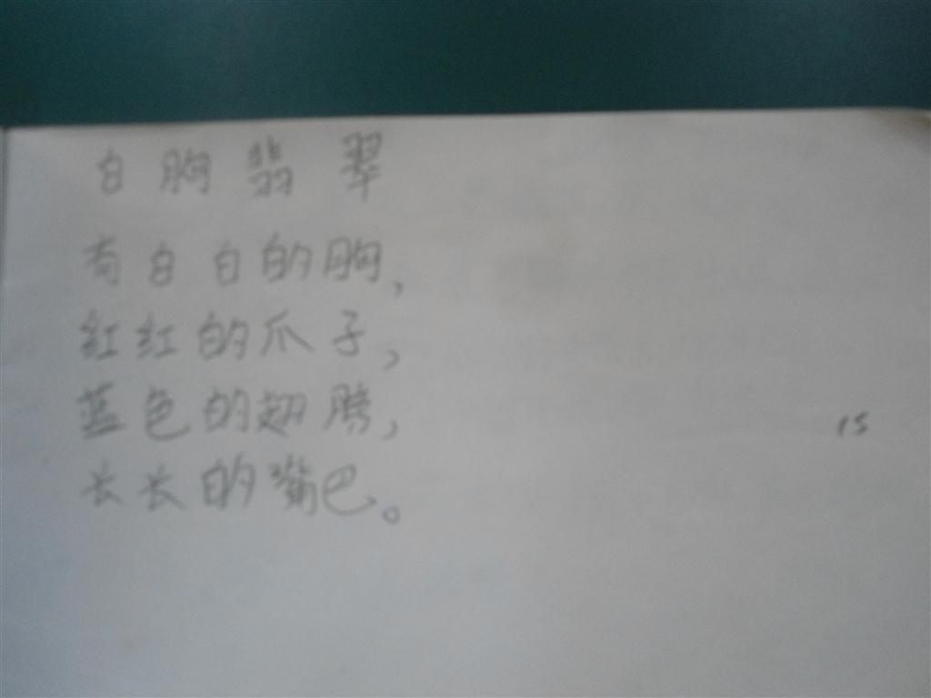 上传的图片