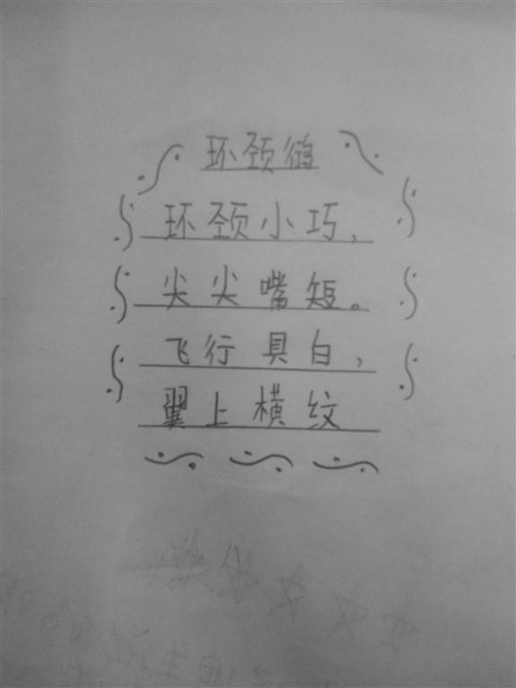 上传的图片