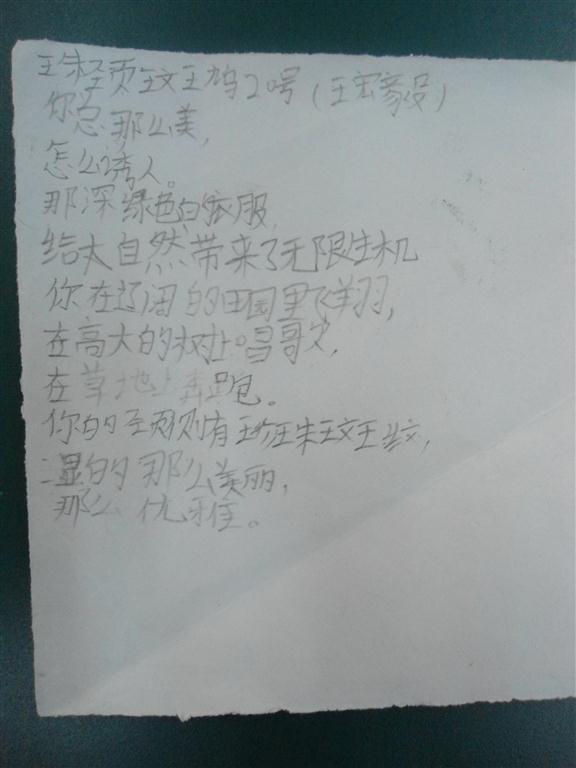 上传的图片