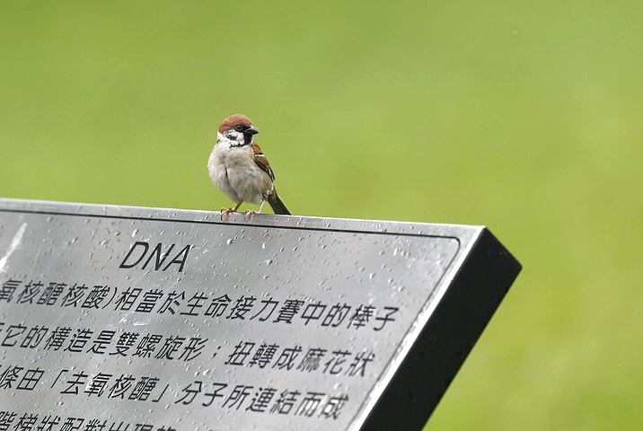 上传的图片