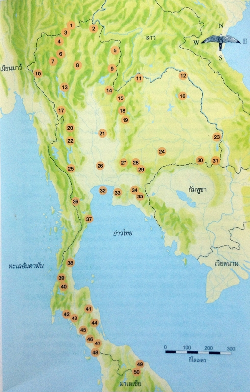 上传的图片