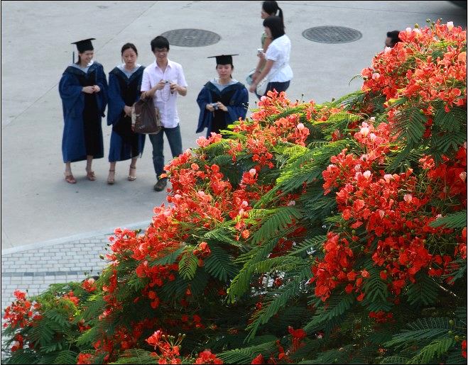 上传的图片
