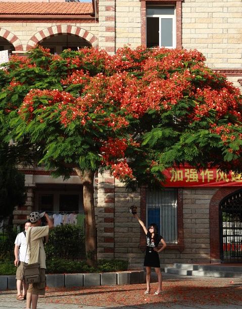 上传的图片