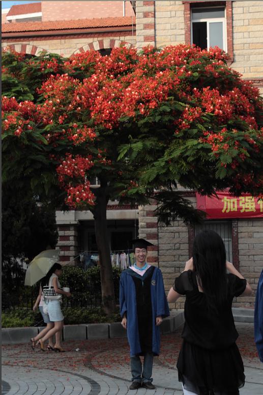 上传的图片