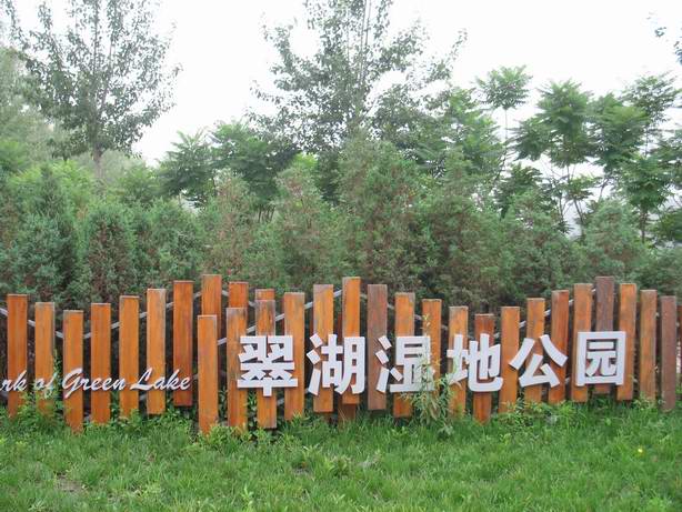 上传的图片