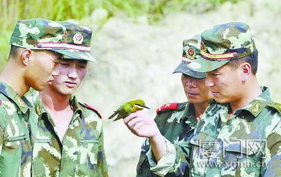 上传的图片
