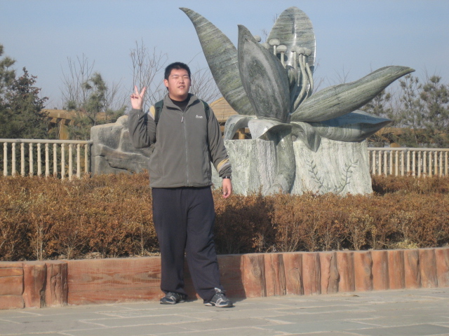 上传的图片