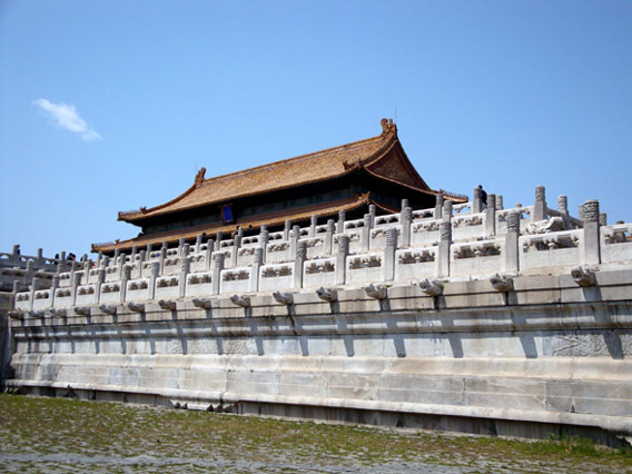 上传的图片