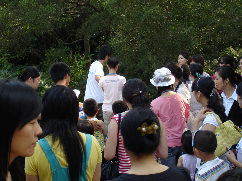 上传的图片