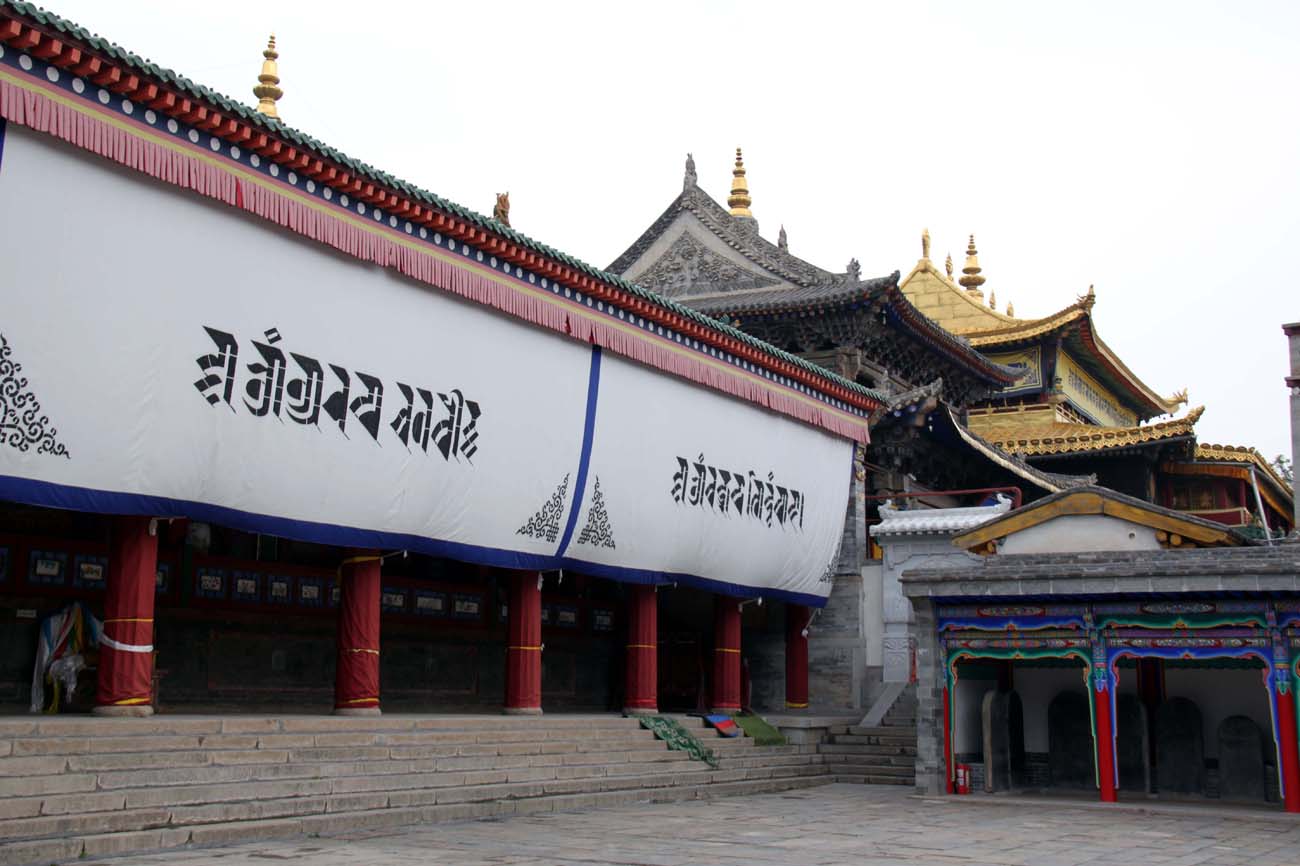 上传的图片