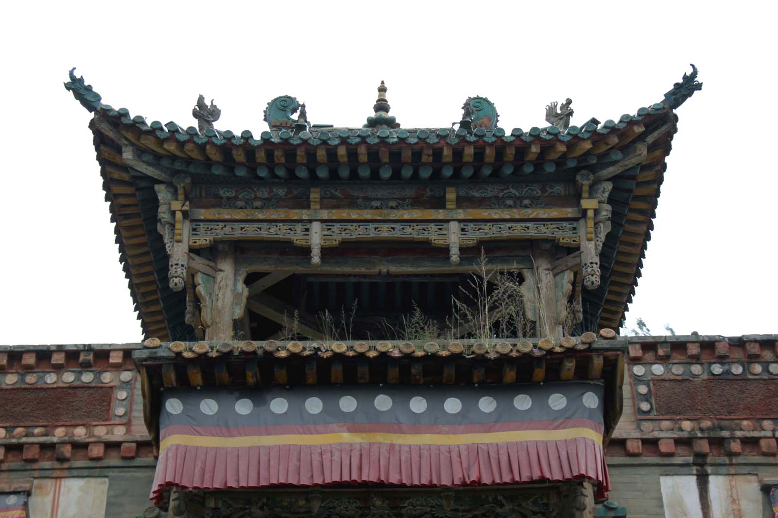 上传的图片