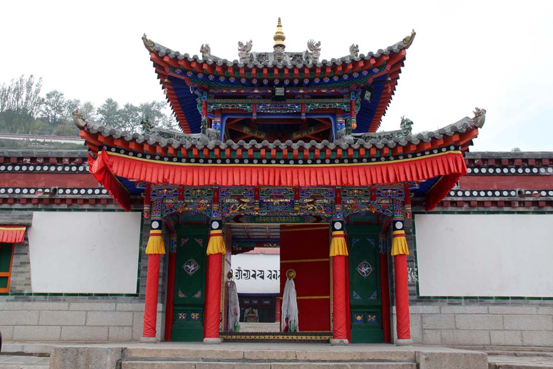 上传的图片