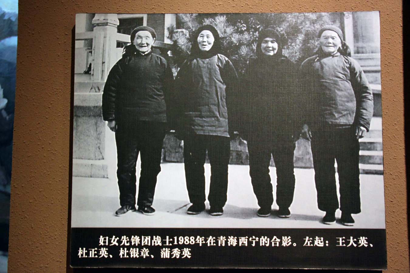 上传的图片