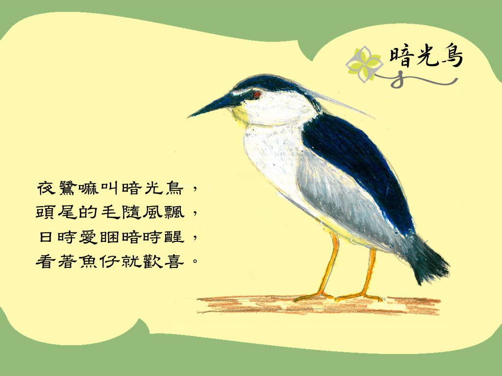 上传的图片