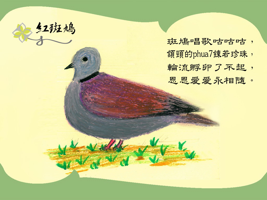 上传的图片