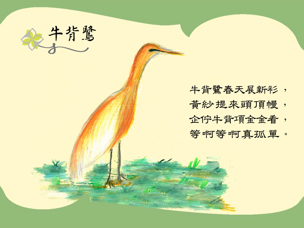 上传的图片