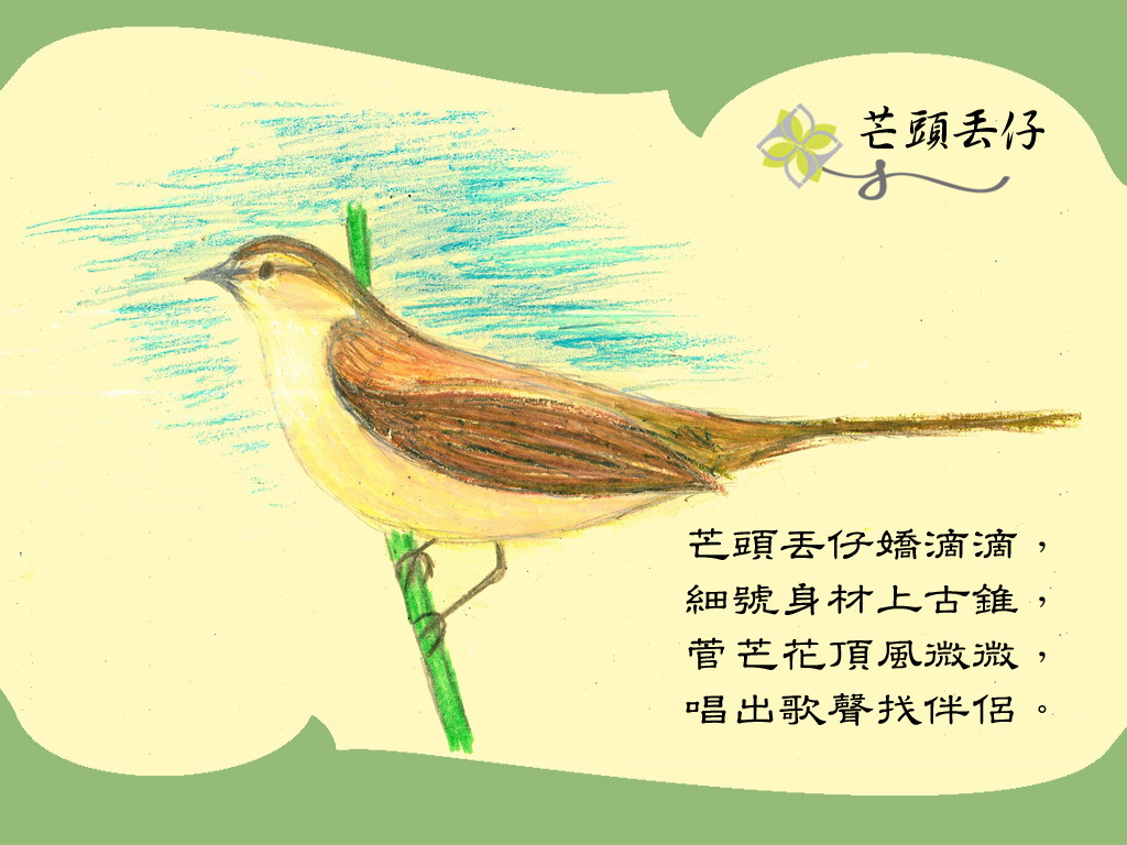 上传的图片