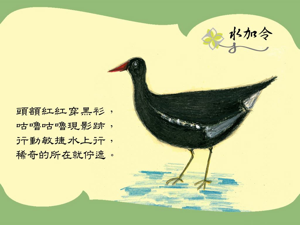 上传的图片