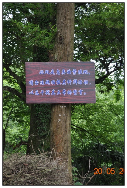 上传的图片