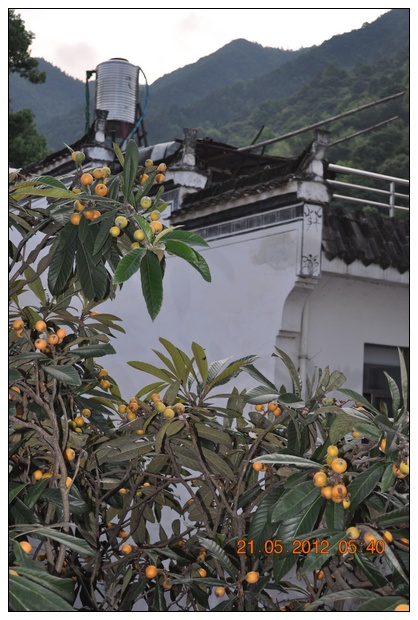 上传的图片