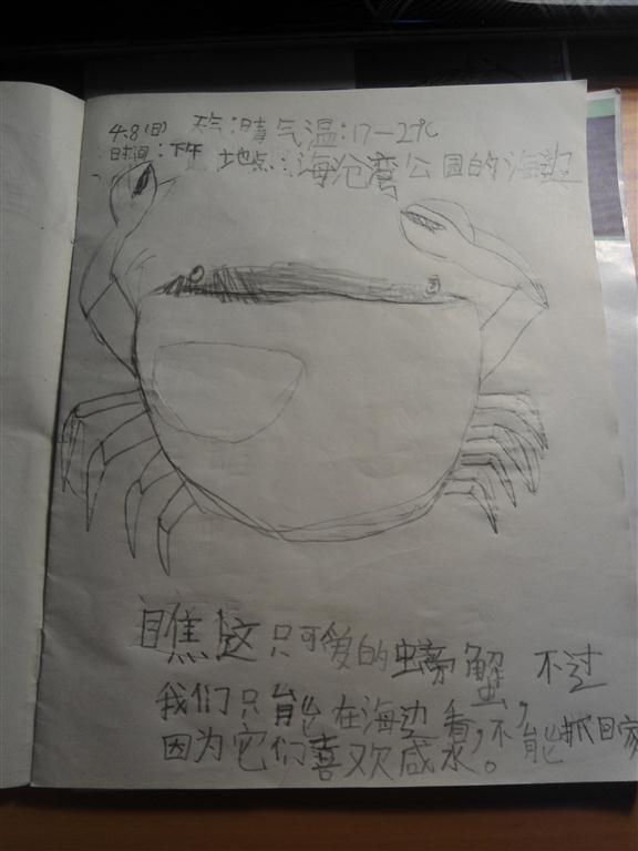 上传的图片