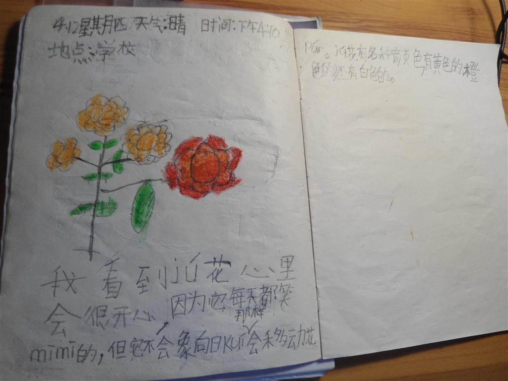 上传的图片