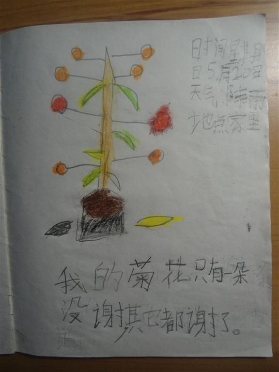 上传的图片
