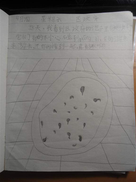 上传的图片