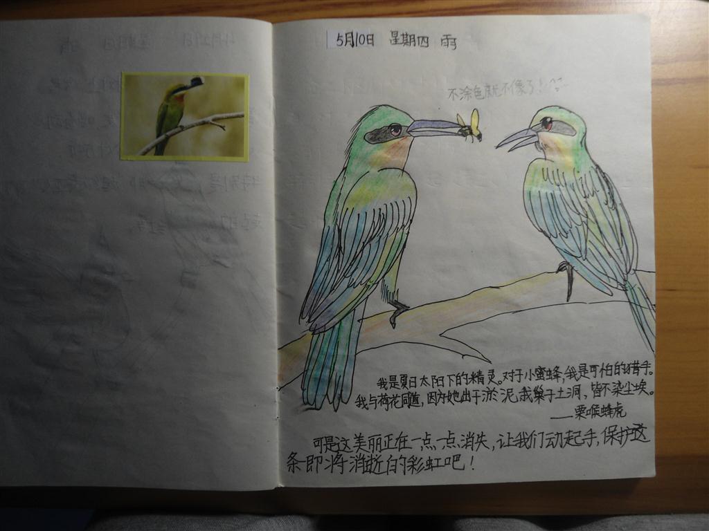 上传的图片