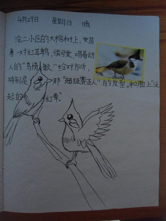 上传的图片