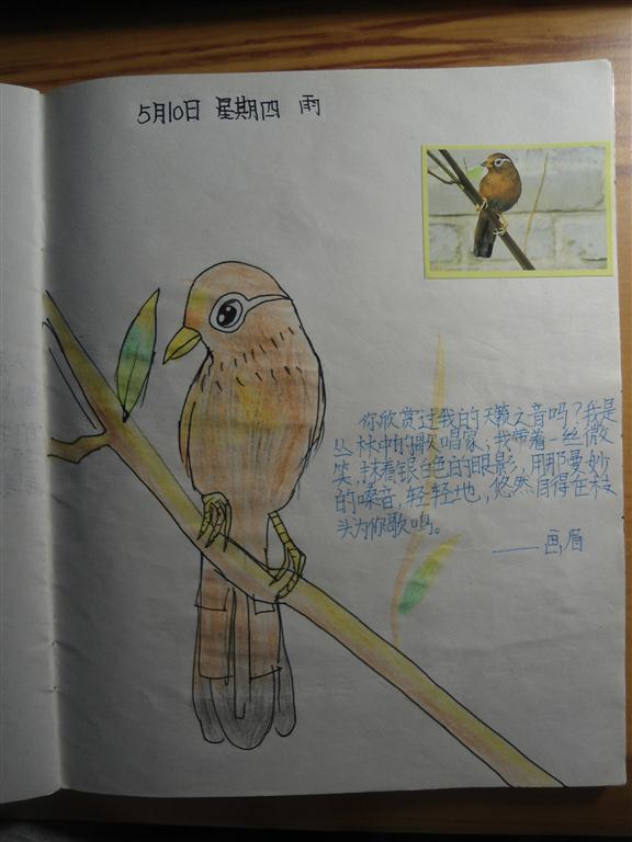 上传的图片