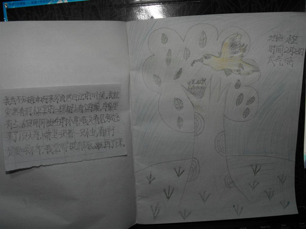 上传的图片