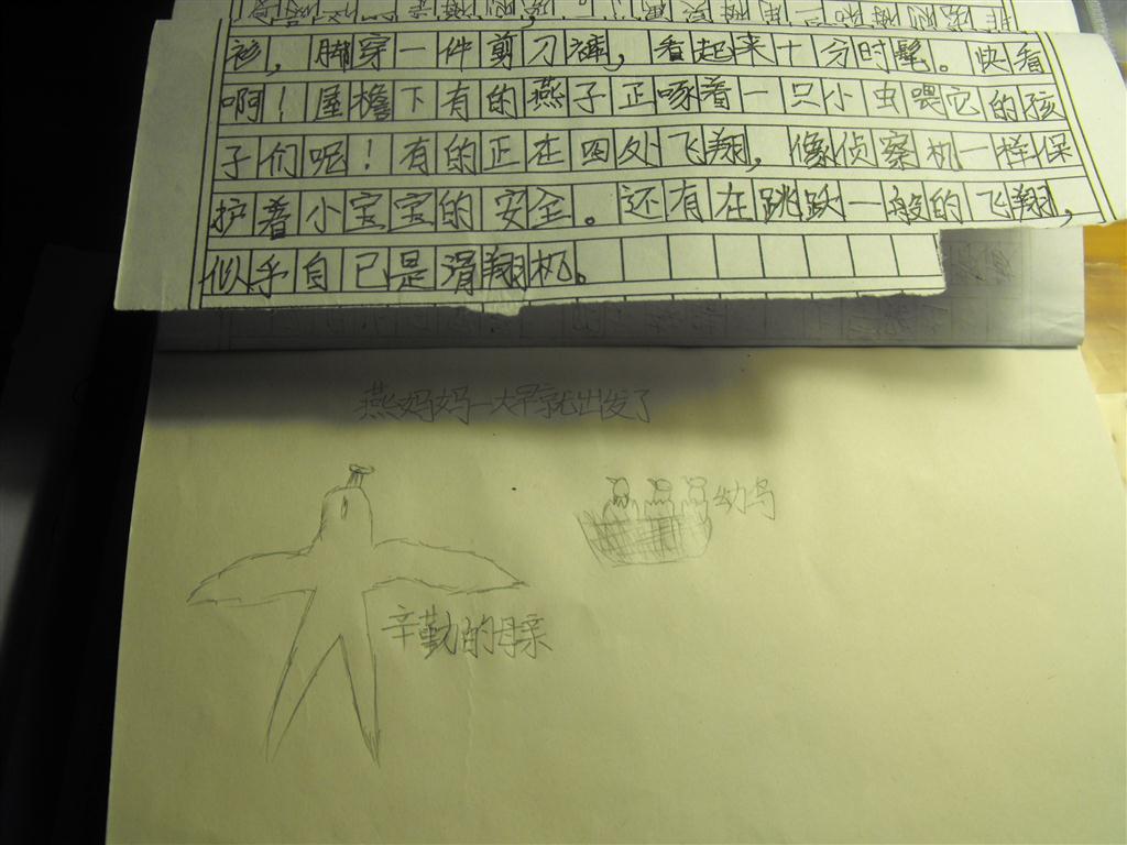 上传的图片