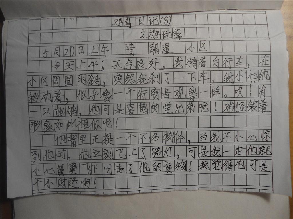 上传的图片
