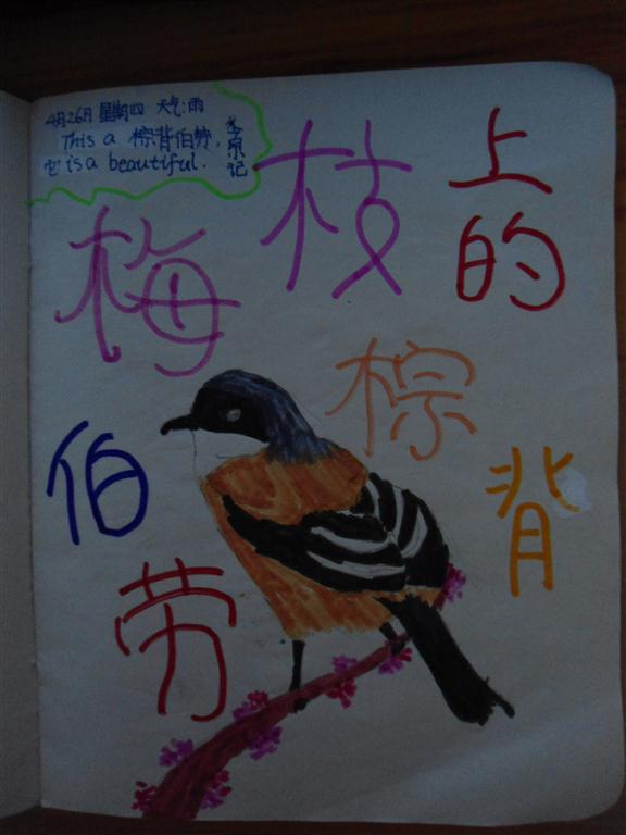 上传的图片