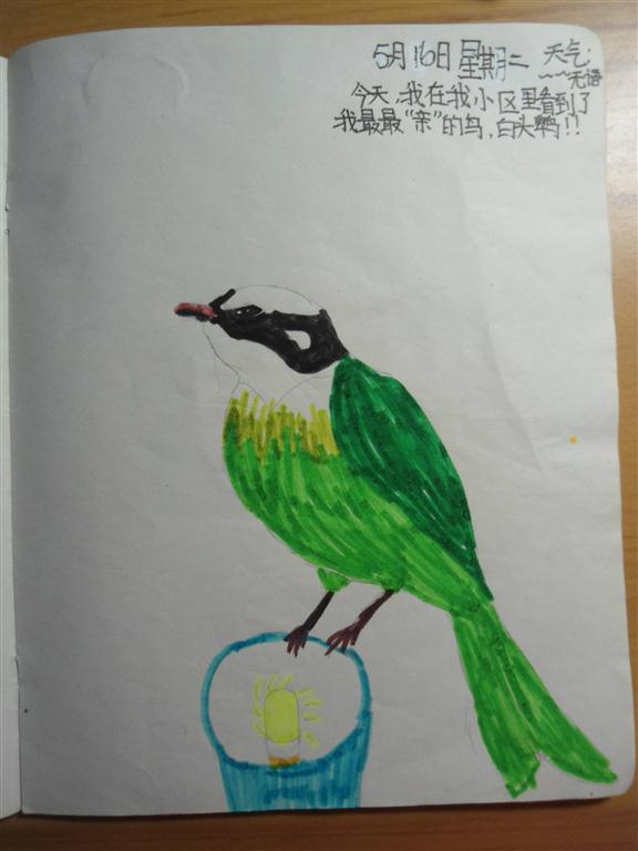 上传的图片