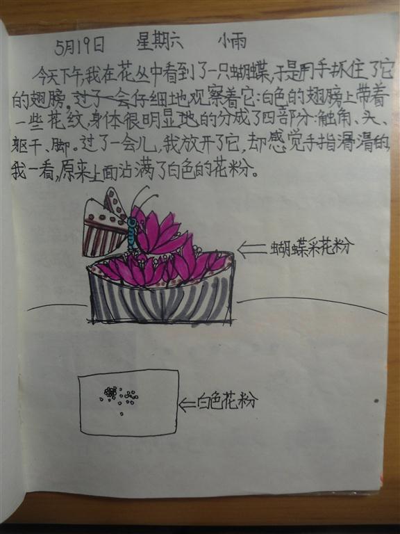 上传的图片