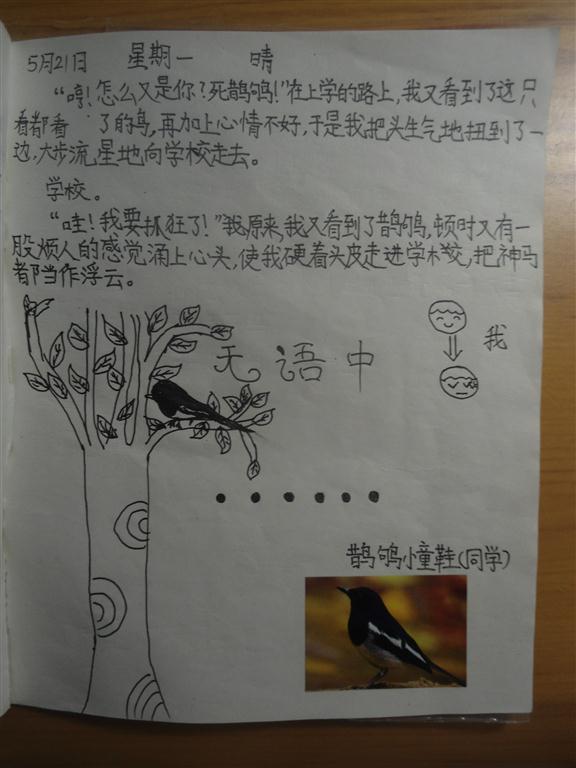 上传的图片