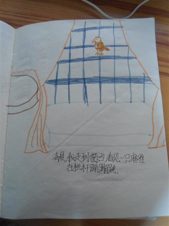 上传的图片