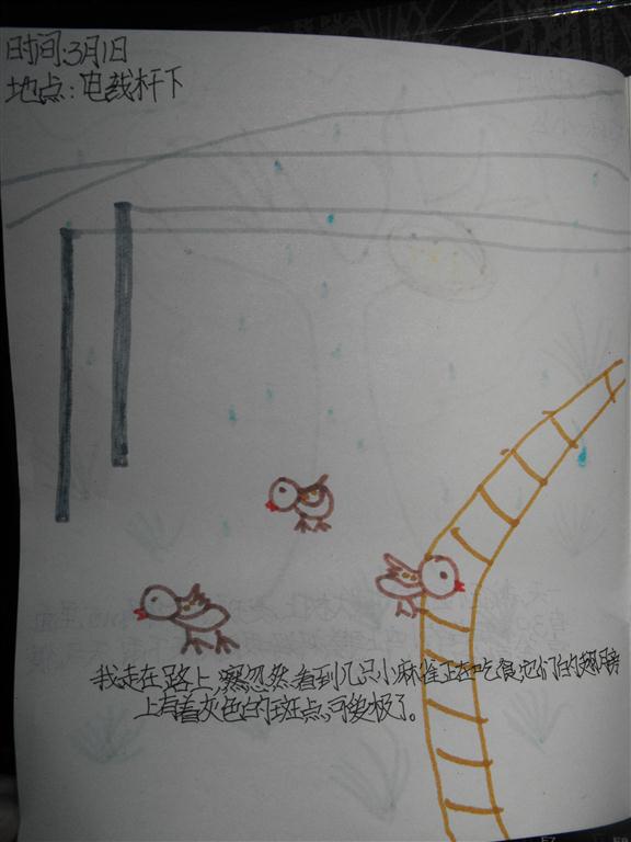 上传的图片