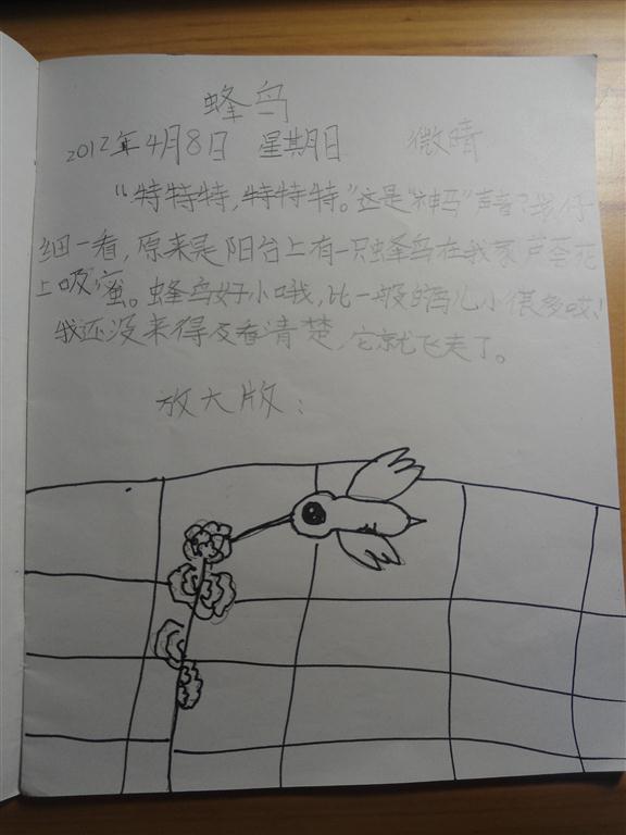 上传的图片