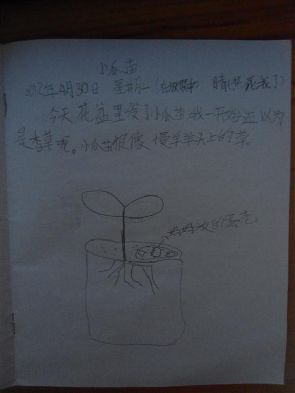 上传的图片