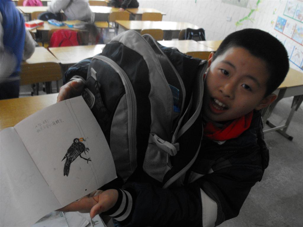 上传的图片