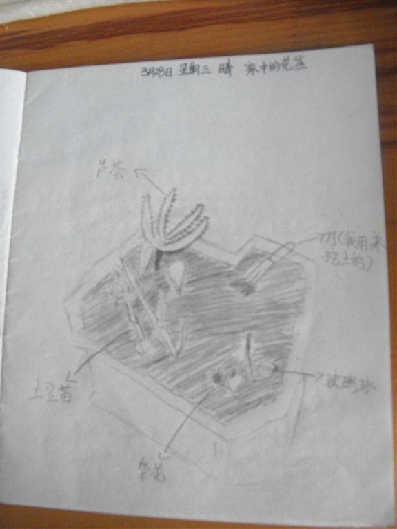 上传的图片